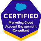 Marketing Cloud Account Engagement Consultant